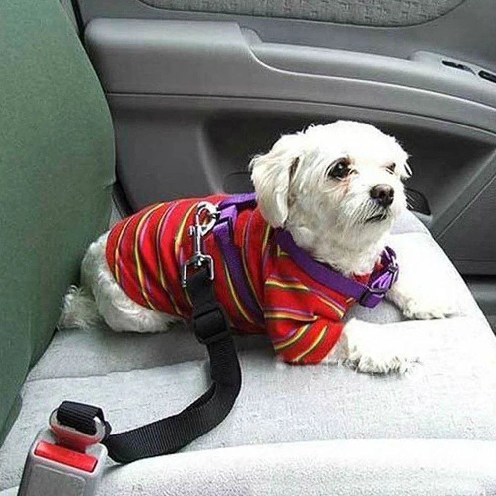 

Car Pet Dog Seat Belt Puppy Car Seatbelt sticker For Volvo Xc60 S60 s40 S80 V40 V60 v70 v50 850 c30 XC90 s90 v90 xc70 s70