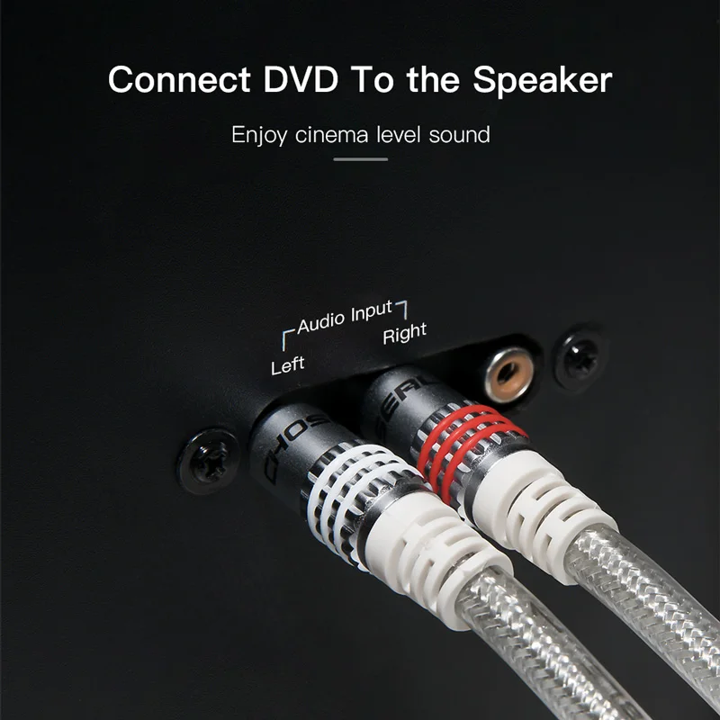  CHOSEAL 2RCA to 2 RCA Audio Cable Male to Male Gold-Plated RCA Audio Cable for Home Theater DVD TV 