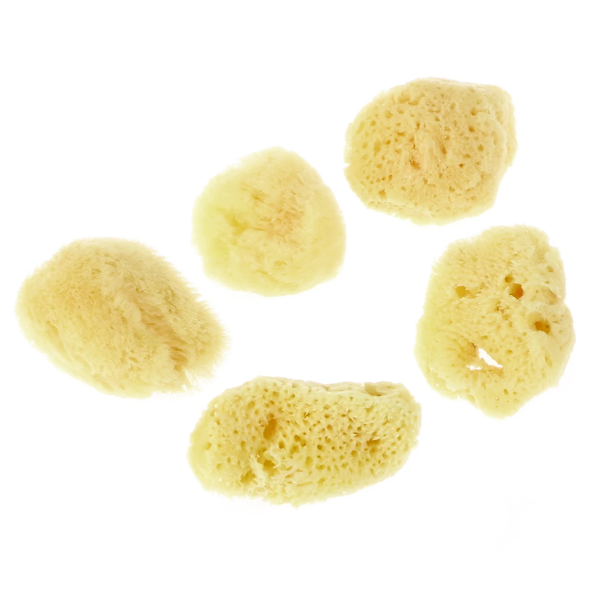 

5pcs Nontoxic Natural Maintain Humidity Hermit Crab Sea Sponge Prevents Accidental Drowning Suffocation