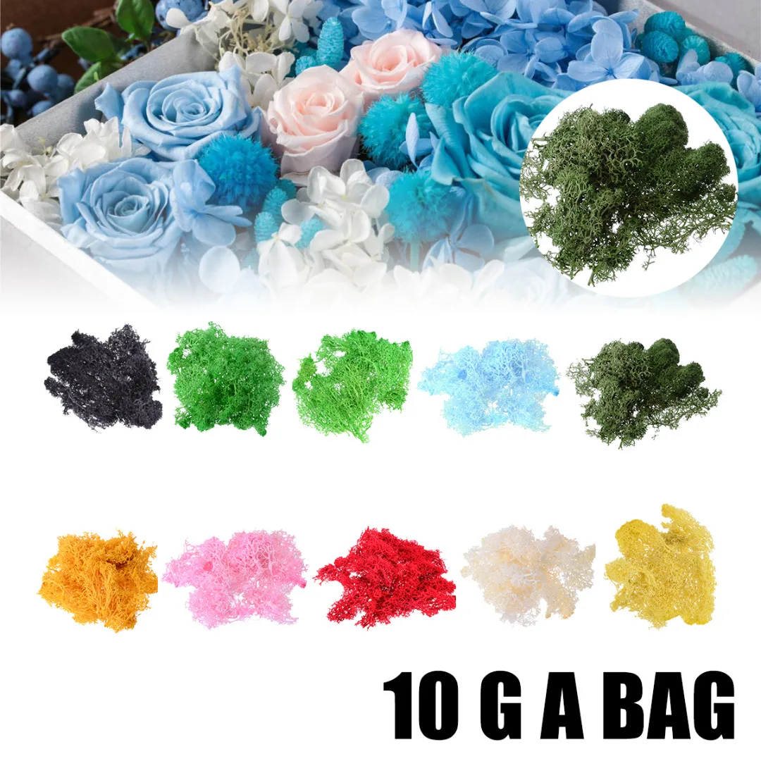 

10g DIY Flower Docor Natural Reindeer Moss Preserved Dried Artificial Craft Flower Accessories Garden Home Wedding Decor