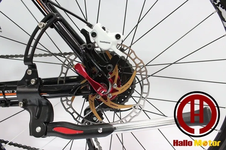 Top 29 inch 26 inch 48 v, 750 w eight fun Mid - Drive Motor eBike electric mountain bike high-power electric bicycle smart 18