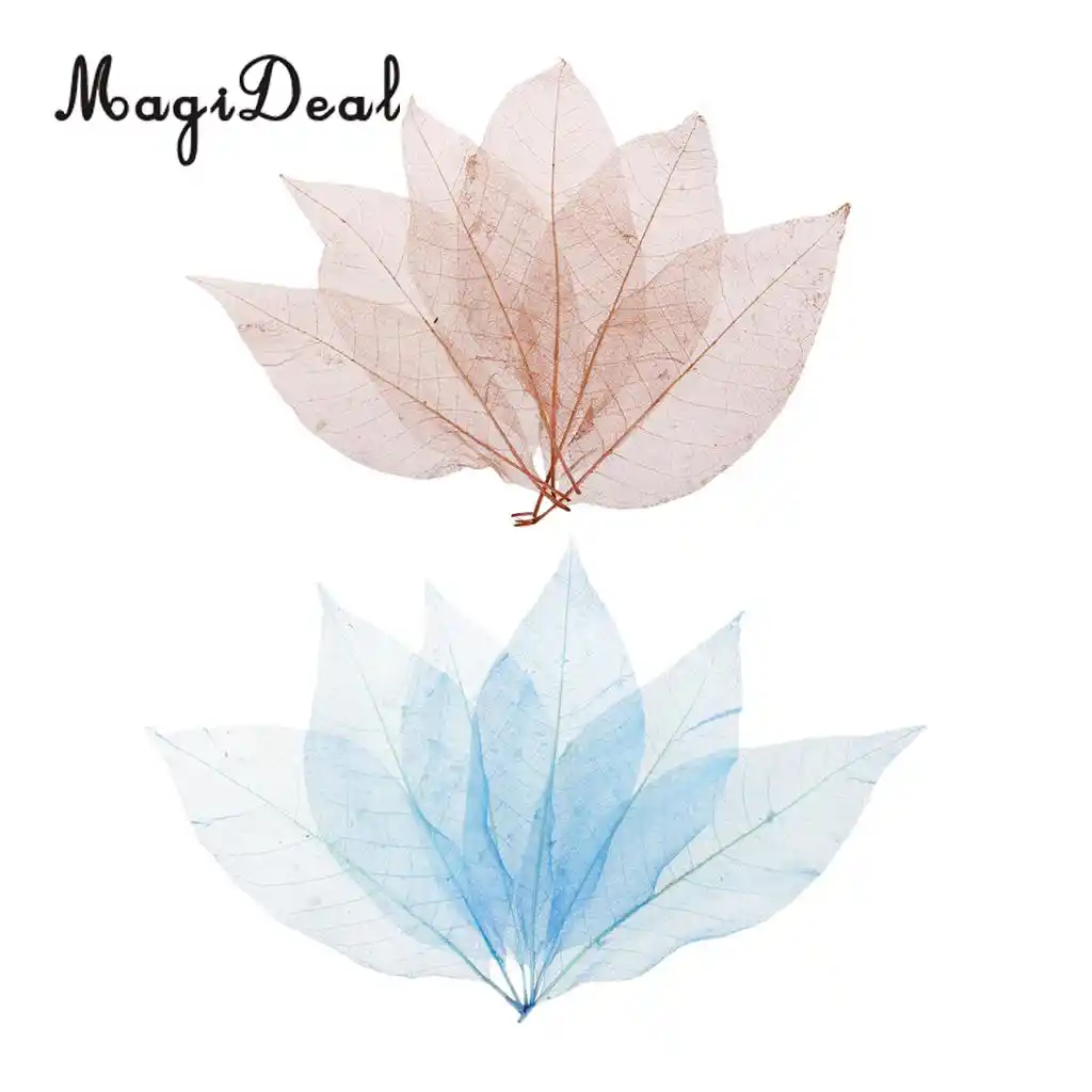 100pcs Magnolia Skeleton Leaf Scrapbook Decoration Leaves Blue And