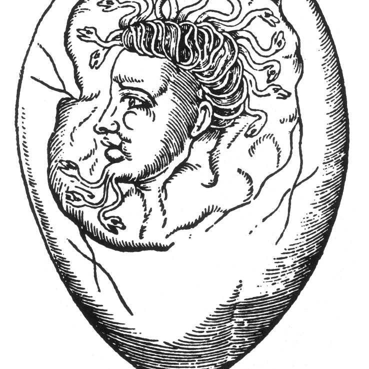 Монстр найден в Egg XVI Century Poster Print by Science Source (18x24) | Дом и сад