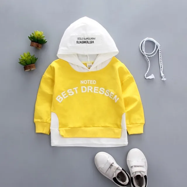 Spring Autumn Children Clothes Baby Boys Girls Cotton Leisure Hooded Sweatshirts Kids Letter Blouse Hoodies Tops For 0-5 Years 3