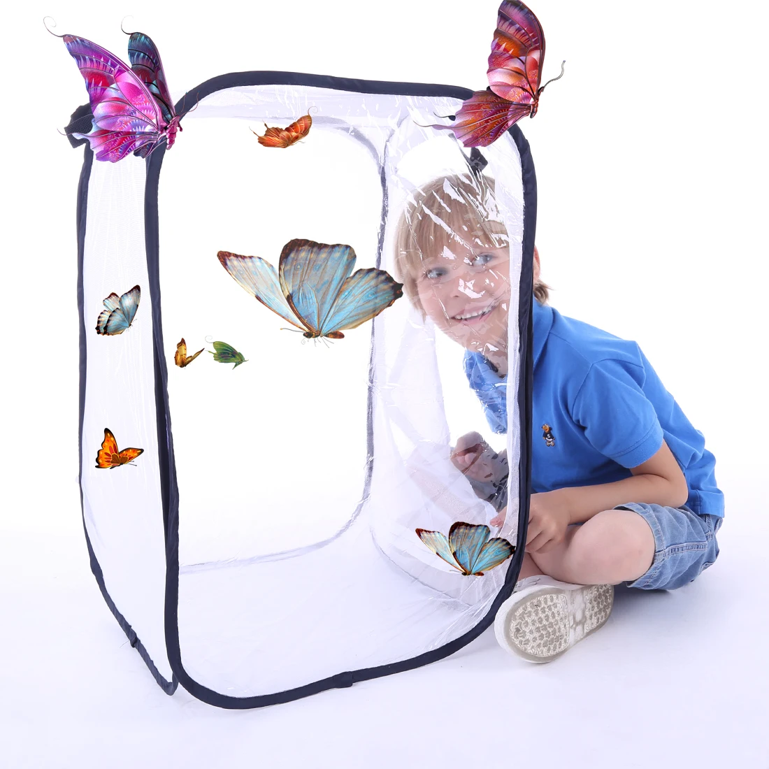 

Butterfly and Insect Habitat Cage Mesh Terrarium Pop-up - White + Green S