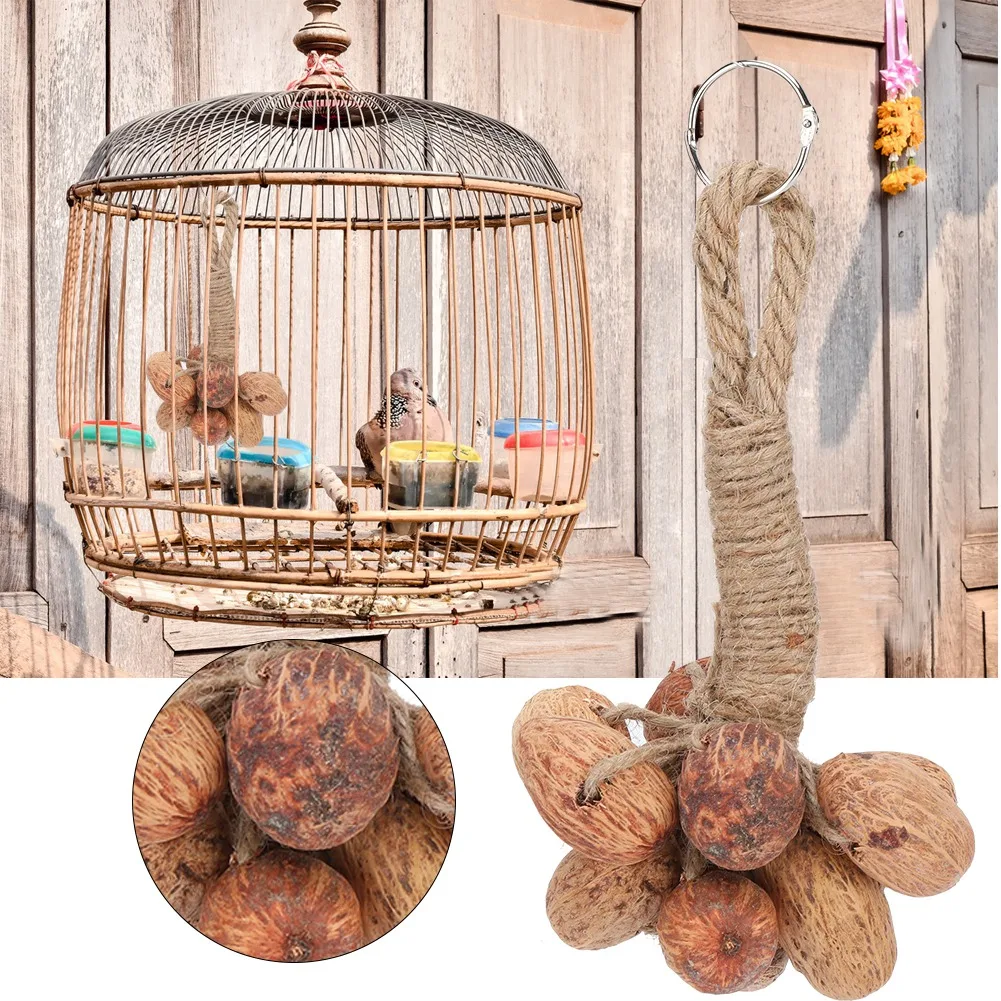 

Parrot Toy Natural Fruit Core Toy Hanging Wooden Toy Parrot Playing Toy
