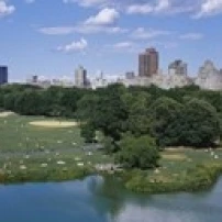 Большой газон Центральный парк Манхэттен NYC Нью Йорк штат США плакат печать