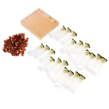 

Beekeeping Tools Queen Bee Rearing Cages Kit with Caps and Tray Holder Fixtures