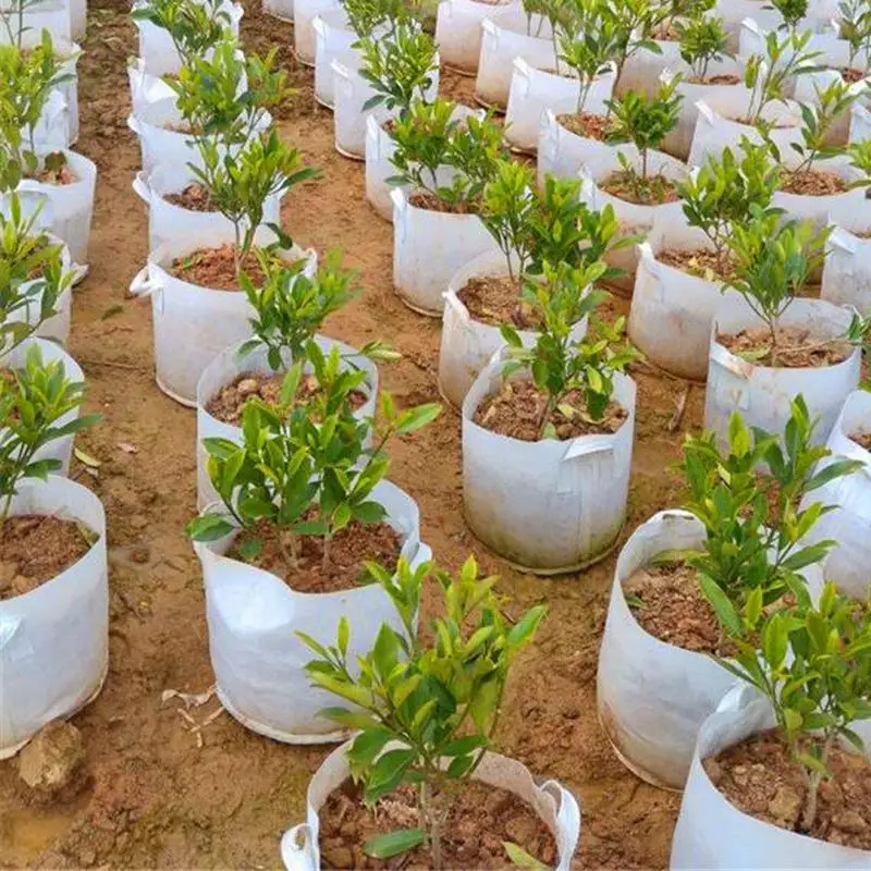 

5pcs/set 1/2/3/5/7/10 Gallon Root Control Bag Nursery Bags Planting Green Bag Garden Planting Accessories Garden Supplies