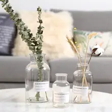 Большой Калибр Скандинавское стекло прозрачная стеклянная ваза домашние украшения прозрачные сушеные цветы гидропонная Маленькая ваза, домашний декор