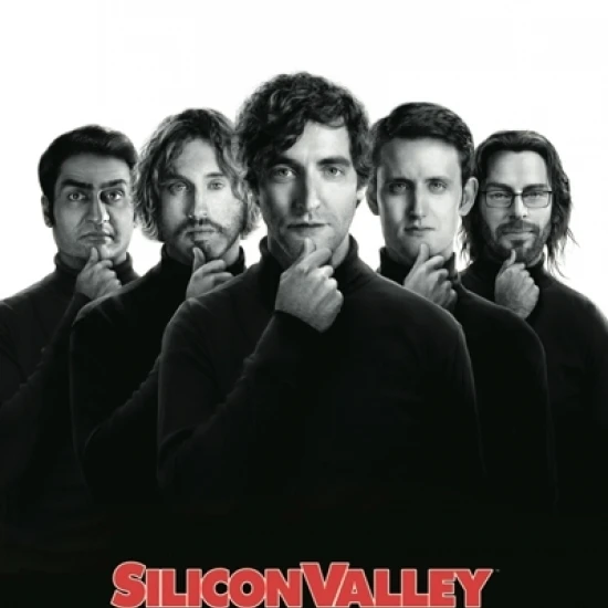 Ламинированный плакат Silicon Valley (36x24) |