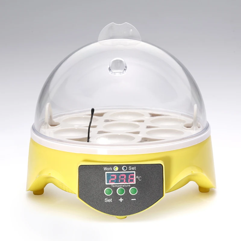 Mini 7 Egg Incubator Poultry Incubator Brooder Digital Temperature Hatchery Egg Incubator Hatcher Chicken Duck Bird Pigeo Mini 7 Egg Incubator Poultry Incubator Brooder Digital Temperature Hatchery Egg Incubator Hatcher Chicken Duck Bird Pigeo