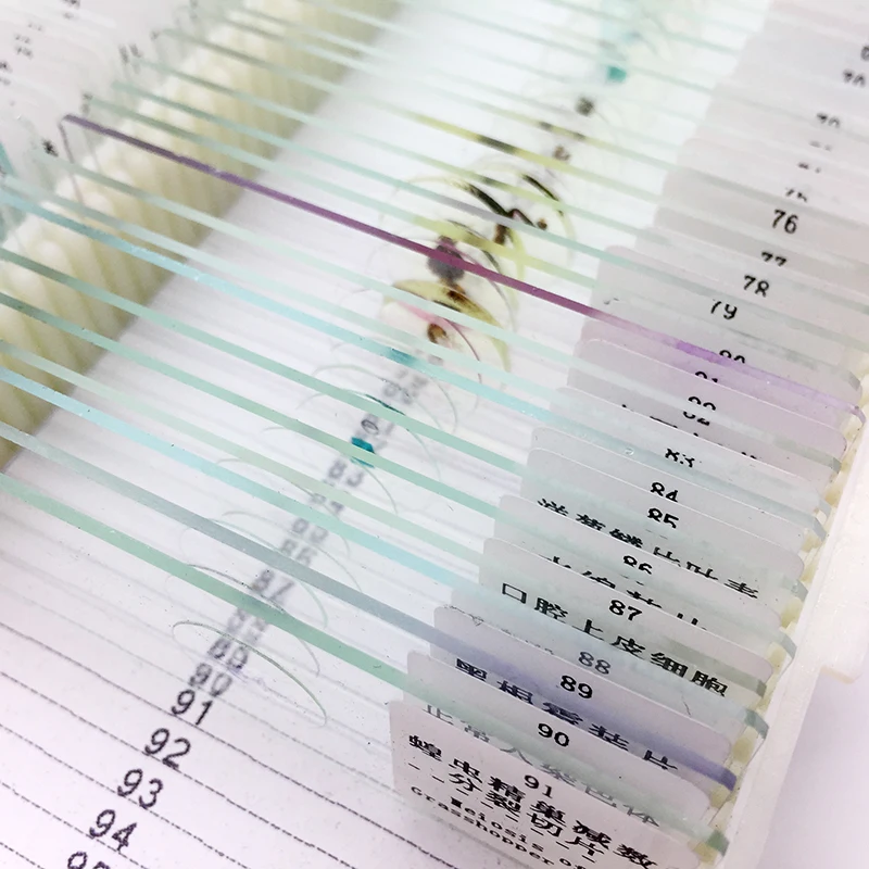 91 Pieces Mixed Microscope Prepared Slides Biological Teaching Studying Middle School Student Children Birthday Gift