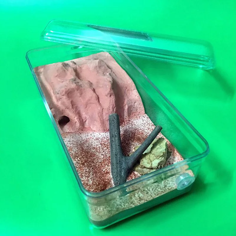 

BIO Ant Earth Nest Formicarium Housing Ant Farms House For Ant Colony Workshop M
