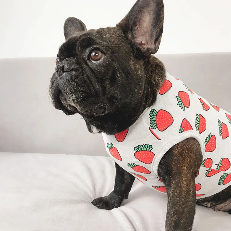 

Cotton Pet Dog Clothes for Small Dogs Pets Clothing Cat Yorkshire Tshirt French Bulldog Summer Cool Vest Pug Costume XXL