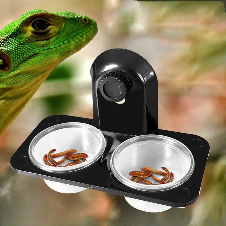 Plastic Reptiles Food Water Feeding Bowl Insects Spider Breeding