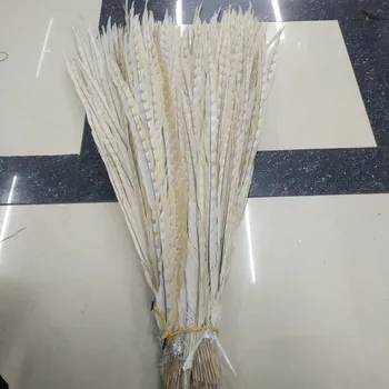 

Beautiful beige copper pheasant tail feather 50pcs 40-44 inches / 100-110 cm DIY decoration collection stage performance