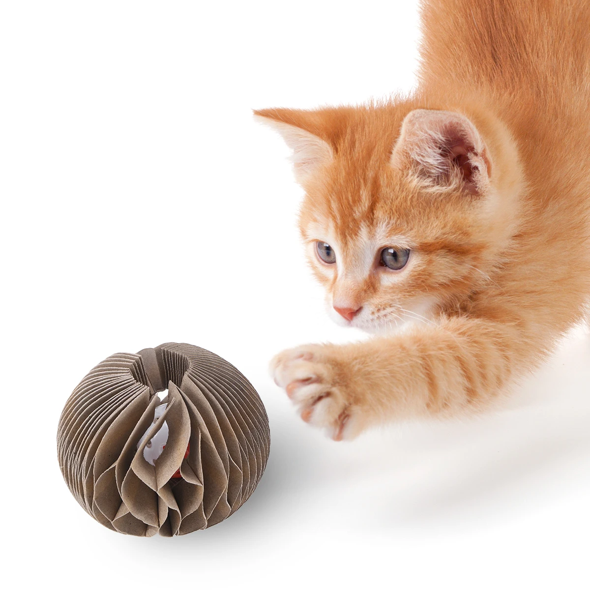 Kittplays