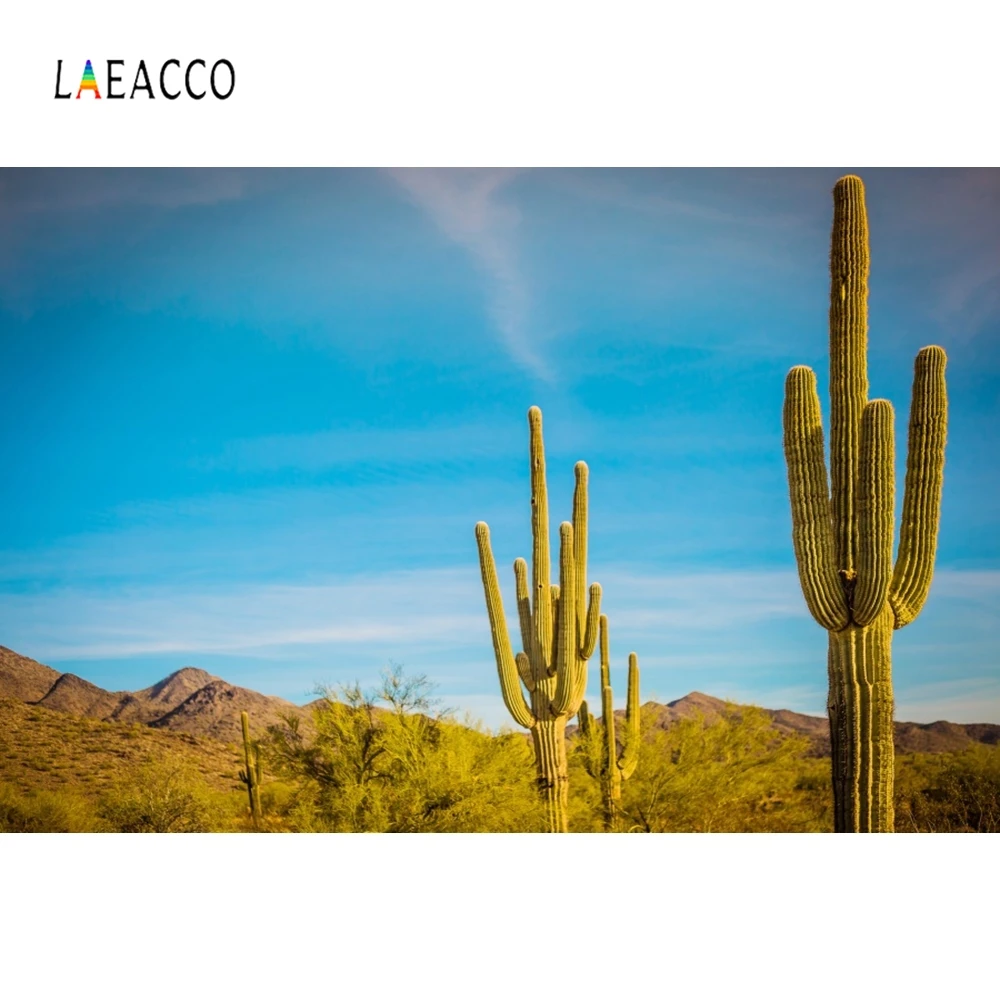 

Laeacco Nature Green Cactus Desert Backdrop Photography Backgrounds Customized Photographic Backdrops For Photo Studio