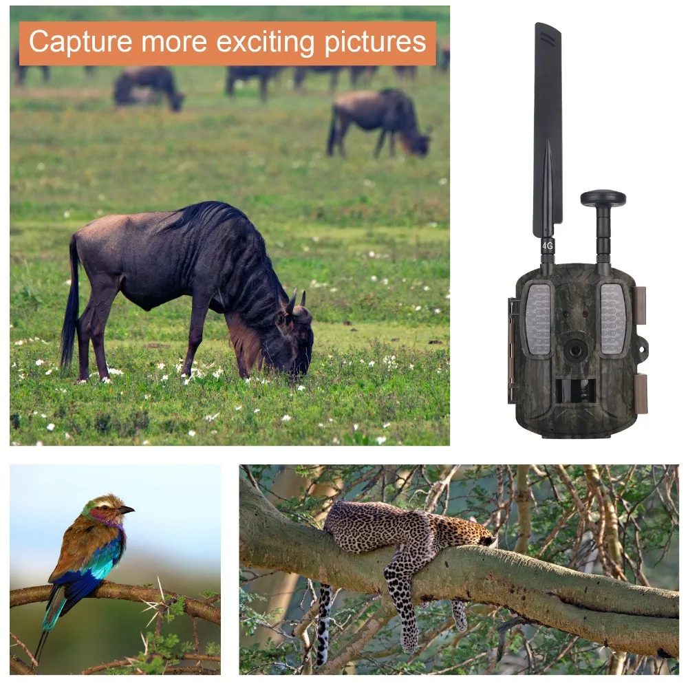 Камера для охоты 4G с функцией ночного видения FDD/GSM/MMS/SMTP|night vision hunting camera|hunting