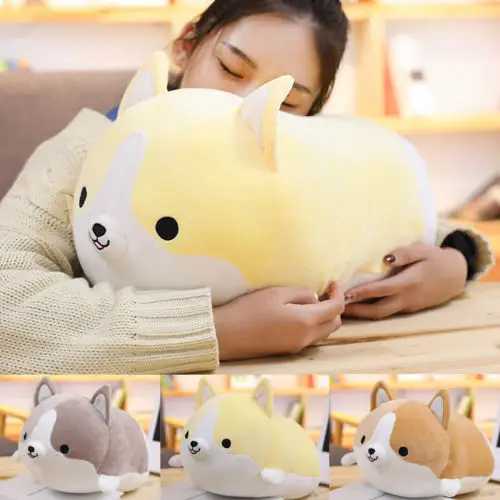 squishmallow corgi