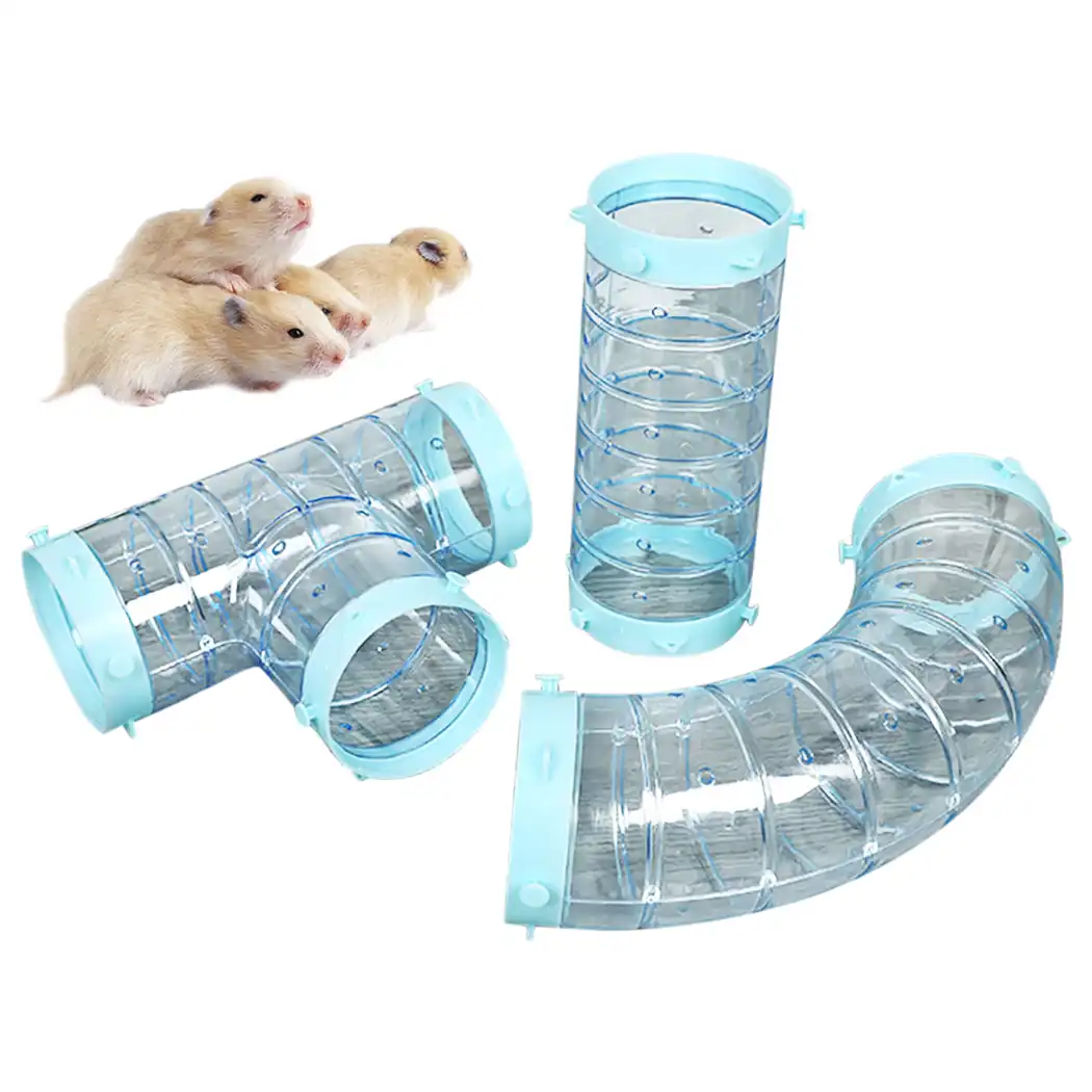 hamster chewing on plastic tubes