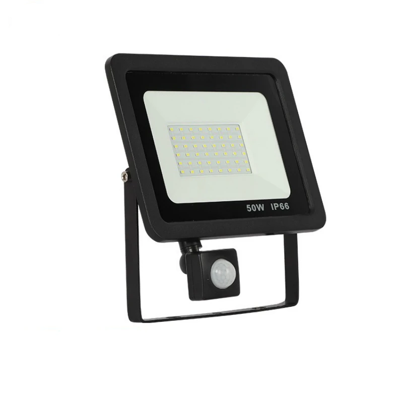 

DE.SOUL Motion Sensor LED Flood Light 10W 30W Waterproof IP65 Reflector Flood Light Lamp Exterior Spot Outdoor Light