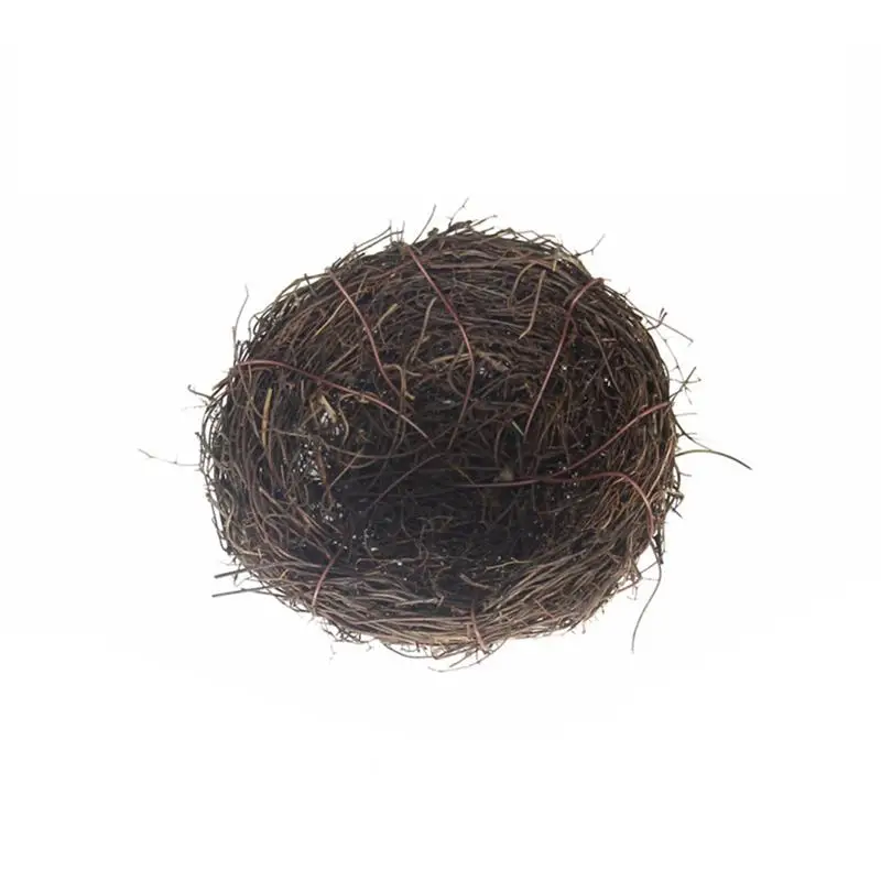 Nest create