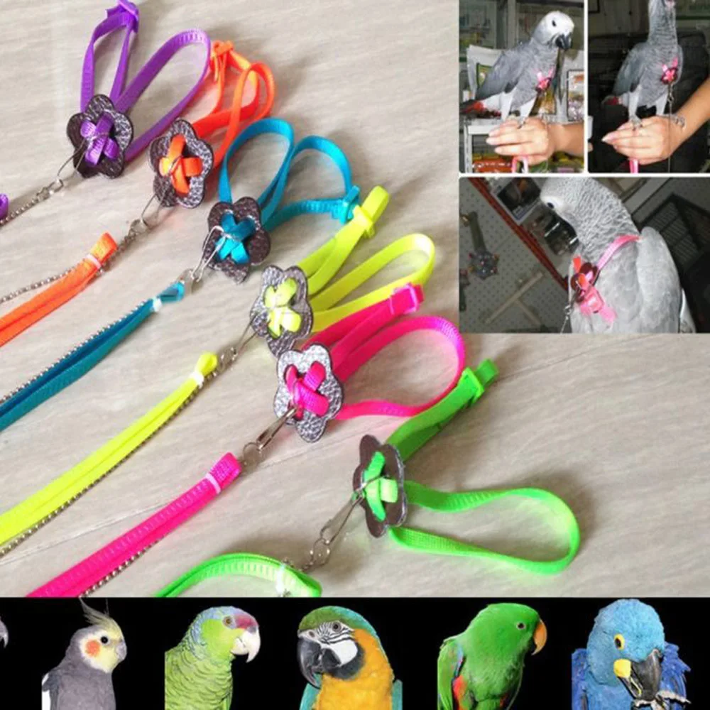 

Multicolored Adjustable Parrot Bird Harness Traction Strap Outdoor Rope Leash