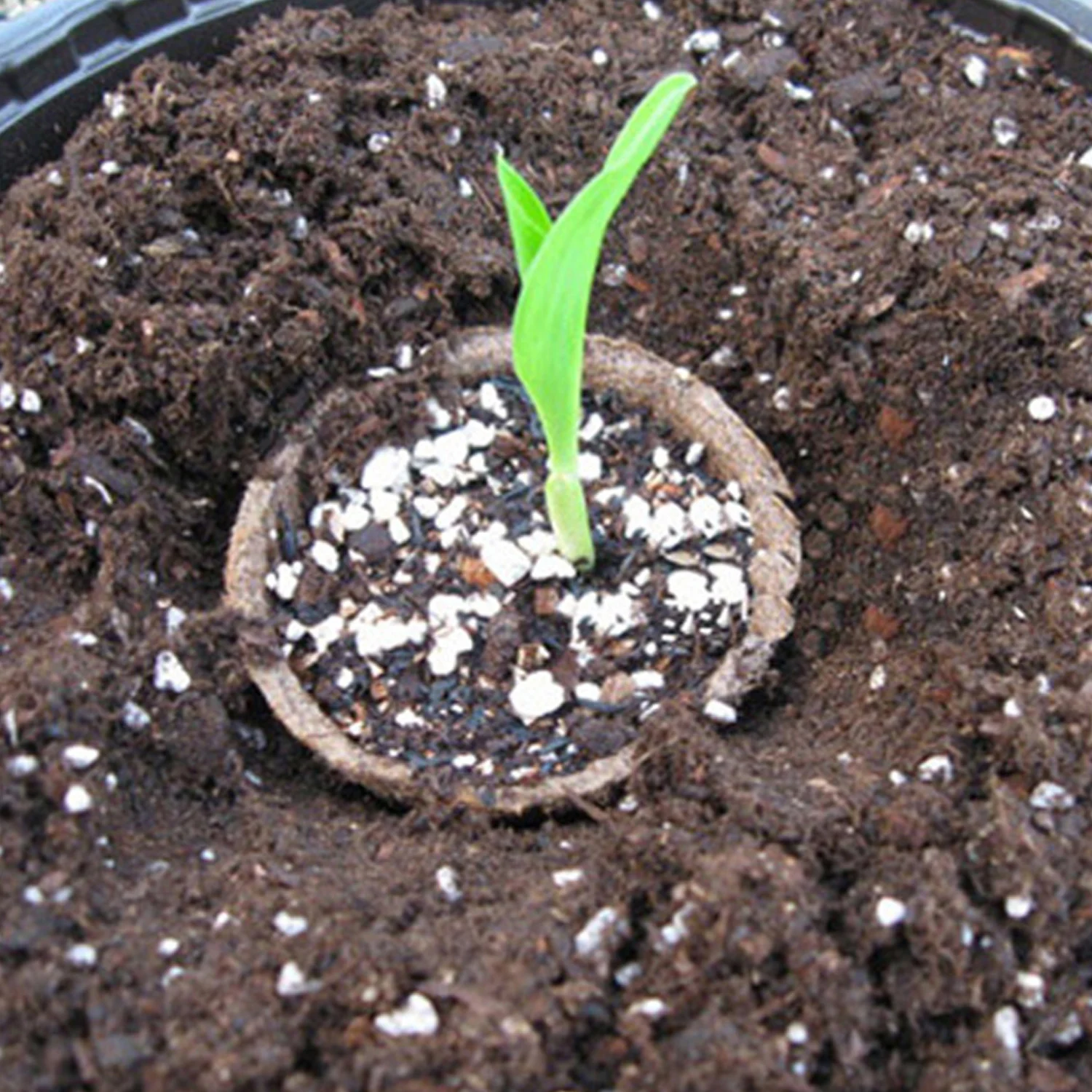 Set Of 100 Pcs Plastic Nursery Pot Plant Seedling Holder Raising Block Pots