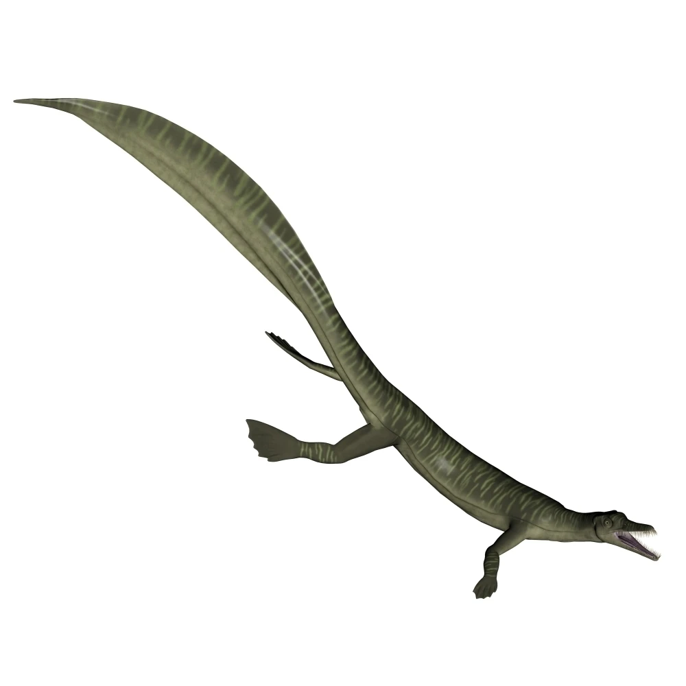 Mesosaurus плакат с динозавром печать -28x28  Дом и | Таблички и знаки -32912706176