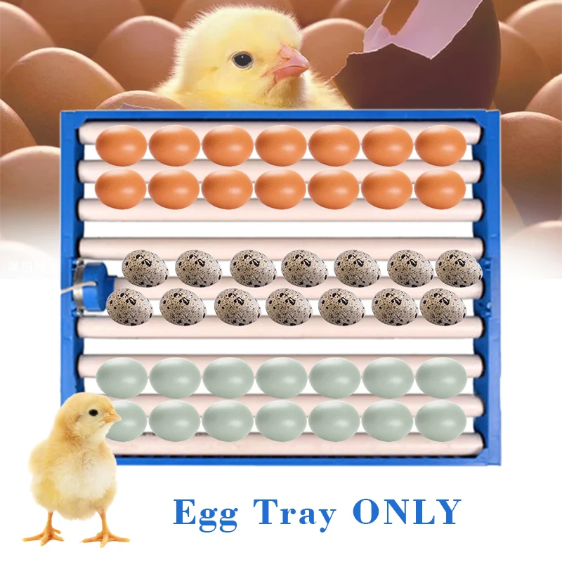 

360 Degree Chicken Eggs Turner Automatic Incubator Duck Quail Bird Poultry Eggs Tray Farm Incubation Tools Supplies