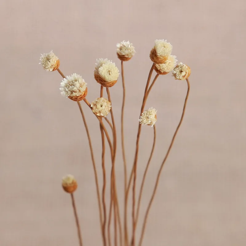 

Lychee Life 10pcs 22cm Small Flower Bud Reed Diffuser Fake Flower DIY Handmade Home Decoration Modern Simple Style Rattan