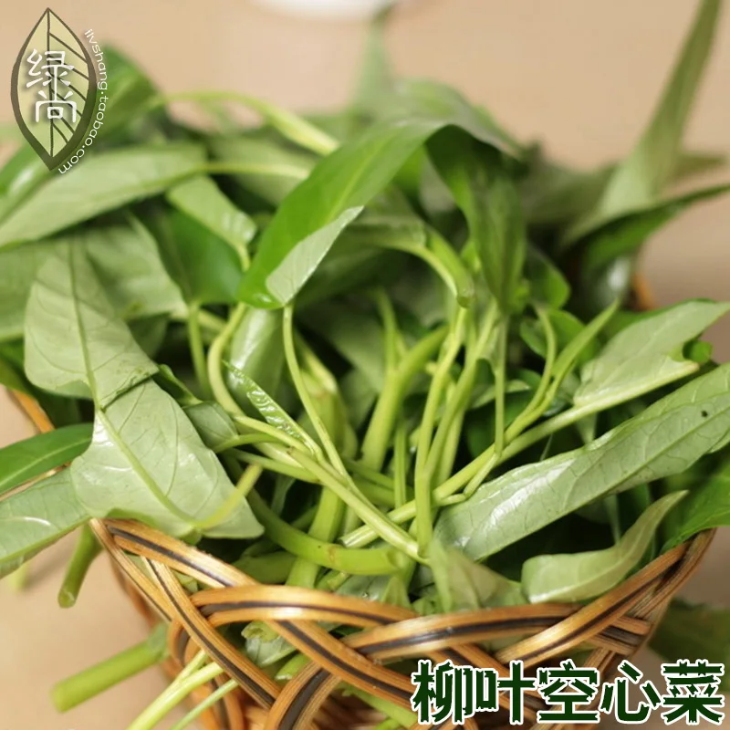 

Thailand Willow Leaf Water Spinach bonsai Roasted 4 Seasons Sowing Garden Terrace Potted Vegetable bonsais 50pcs