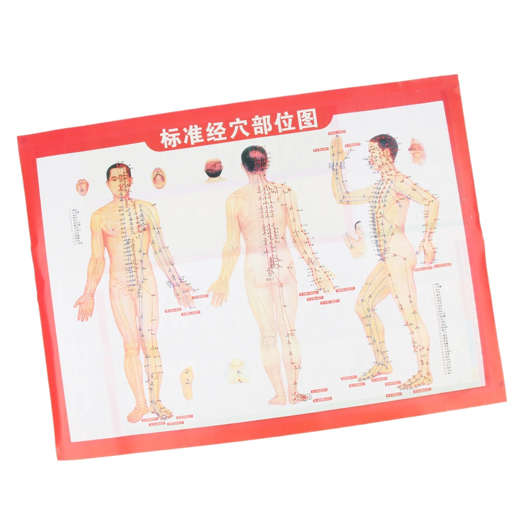 

Large Acupuncture Guide Chart Points Meridian Moxibustion Acupressure Poster