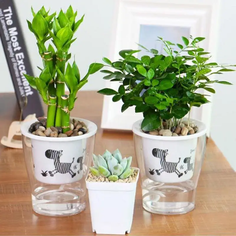 

Cute Zebra Transparent Self Watering Planter Flower Pot For Home Garden Decor Automatic Water Absorbing Flower Transparent Pot