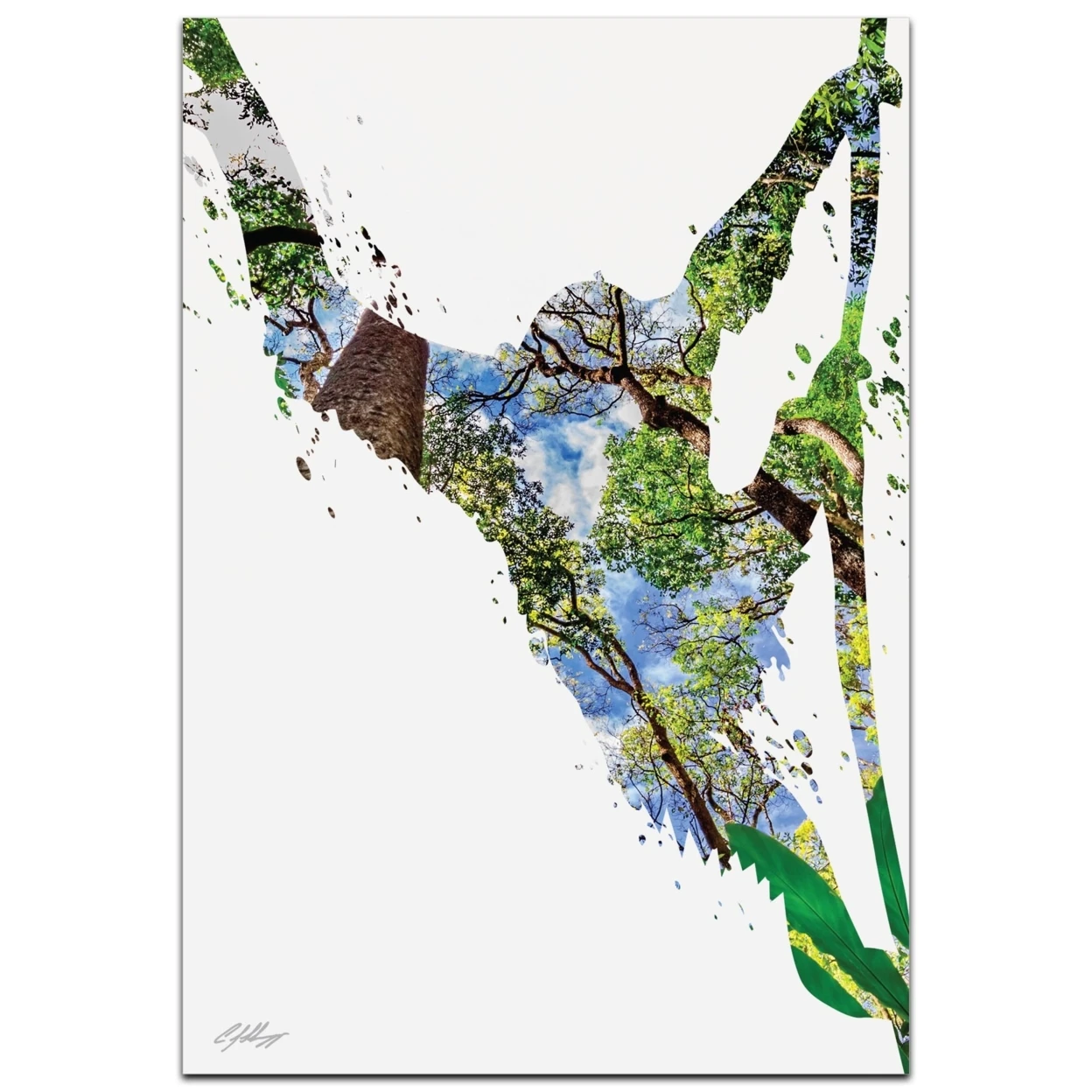 Animal Silhouette 'Monkey Jungle' by Adam Schwoeppe - Landscape Photography Jungle Nature Photo on White Metal | Дом и сад