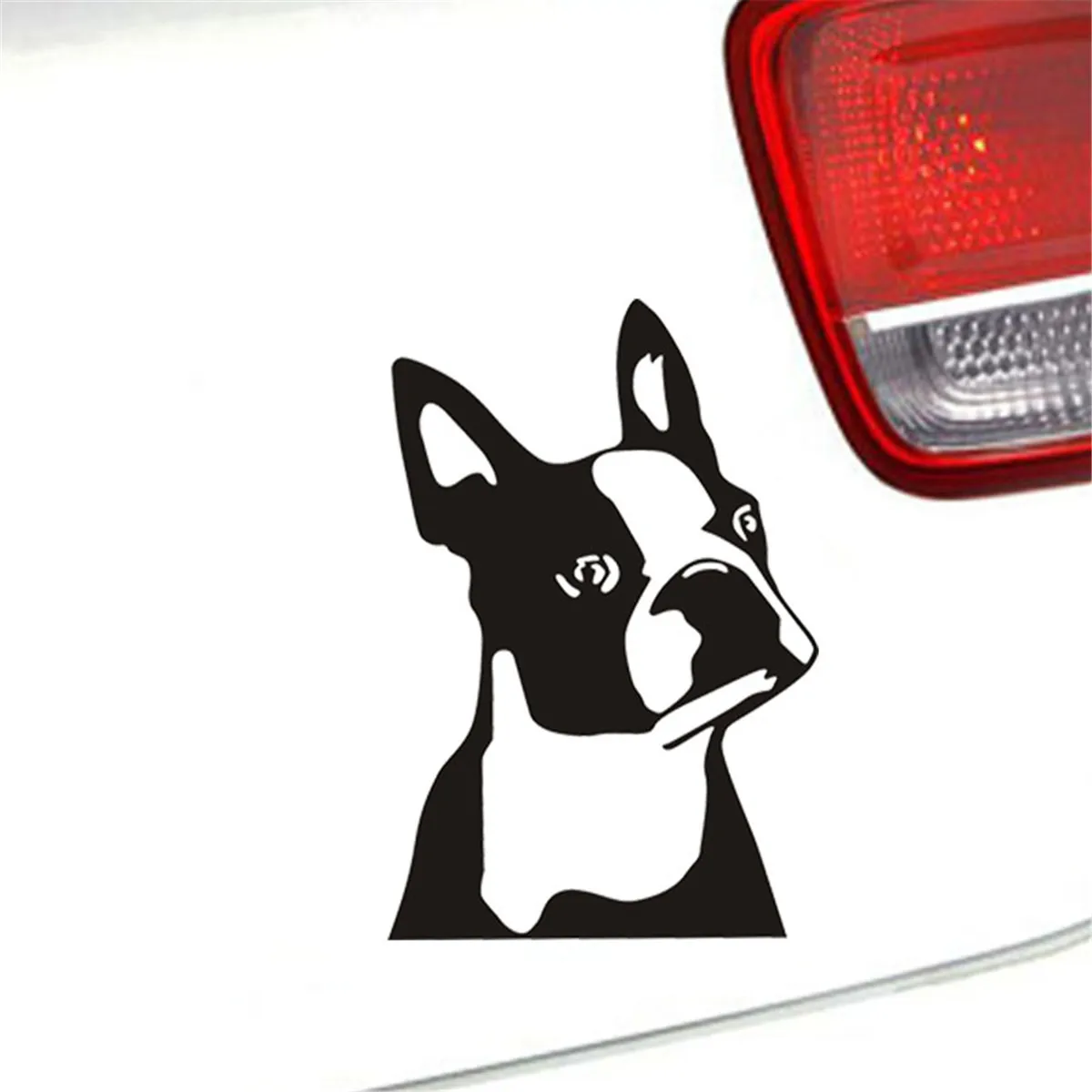 Mignon Boston Terrier Chien Voiture Style Personnalité