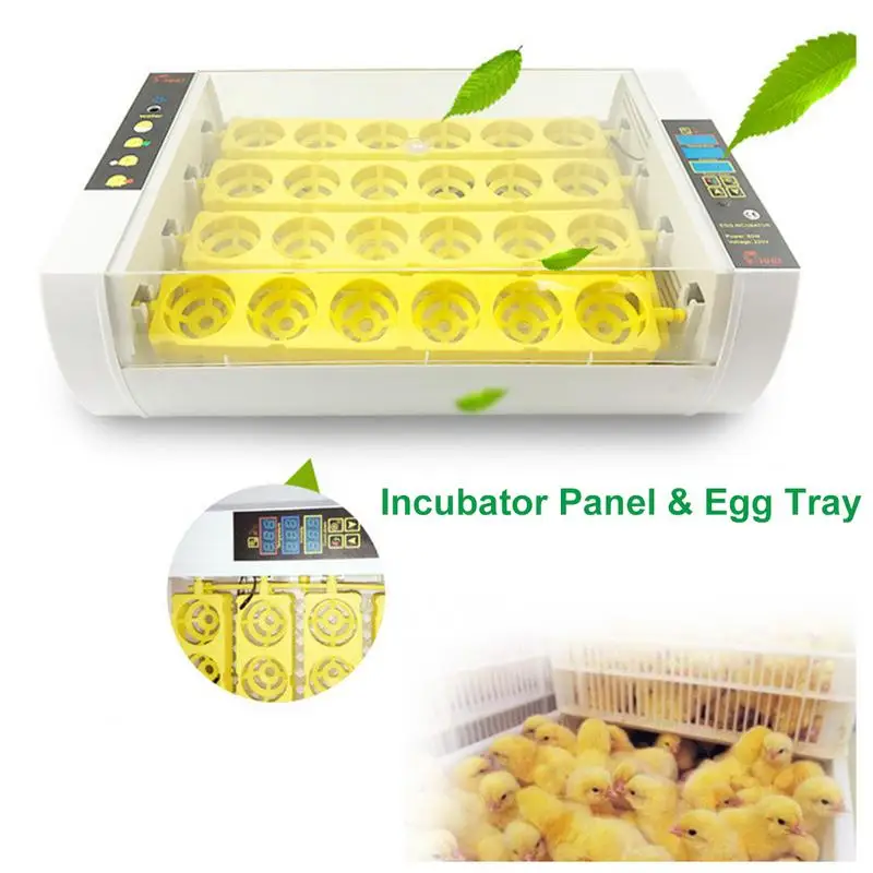 24 Eggs Small Fully-automatic Incubator Chicken Egg Incubator Automatically Control Temperature Duck Quail Pigeon Birds Hatcher 24 Eggs Small Fully-automatic Incubator Chicken Egg Incubator Automatically Control Temperature Duck Quail Pigeon Birds Hatcher