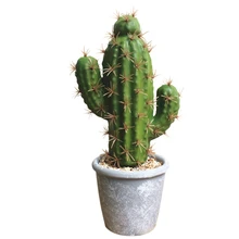 Simulation Of Tropical Plants Potted Plants (Including Pots) Creative Ornaments Cactus Simulation Succulent Bonsai Home Decor