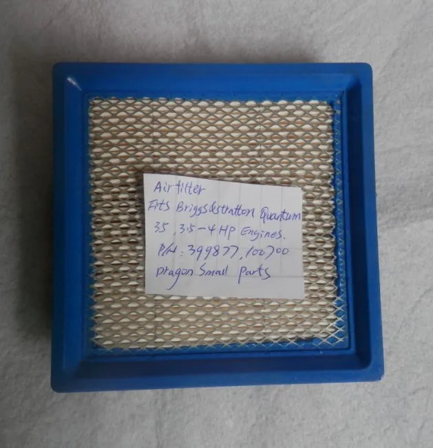Air Filter Briggs & Stratton 399877 100700 2