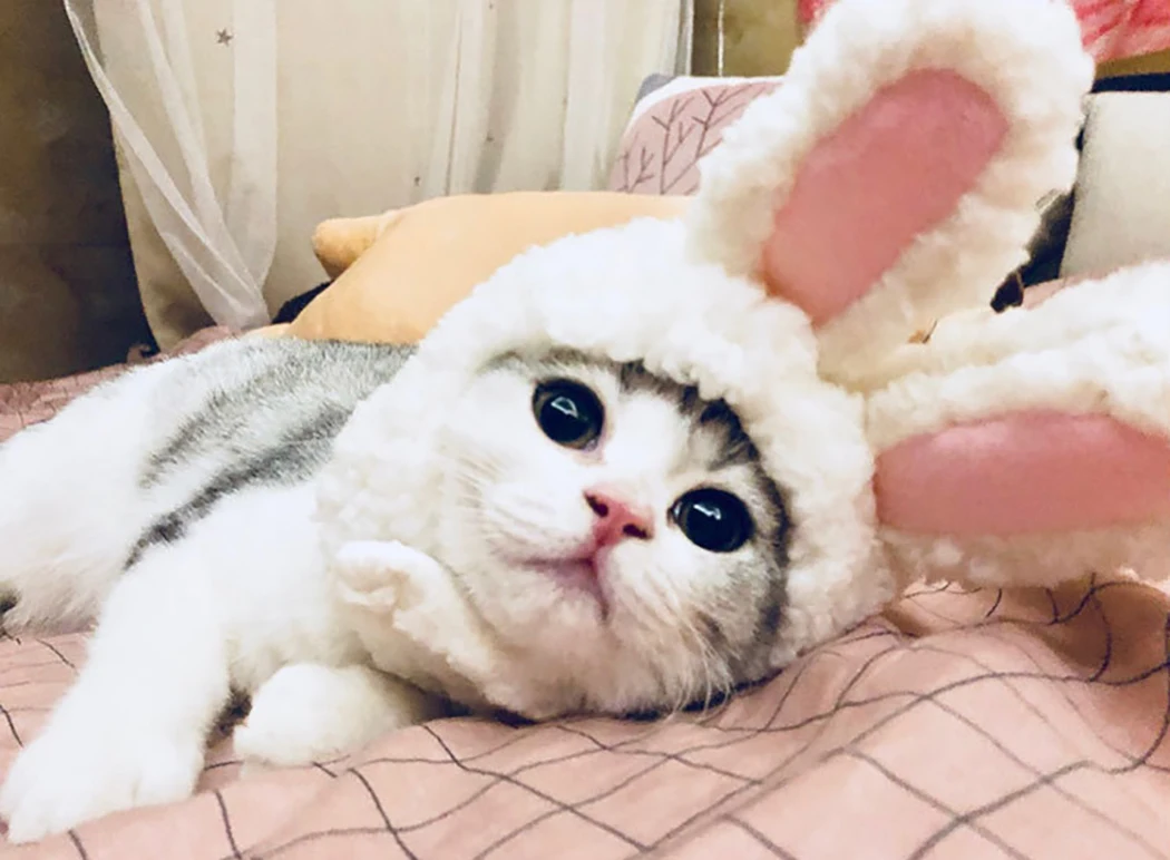 Новый Забавный костюм для собак кошек шапка теплая с кроликом Новогодняя