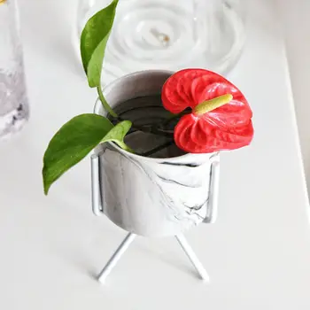 

Nordic Style Geometric Iron Rack Holder Metal Stand with Ceramic Planter Desktop