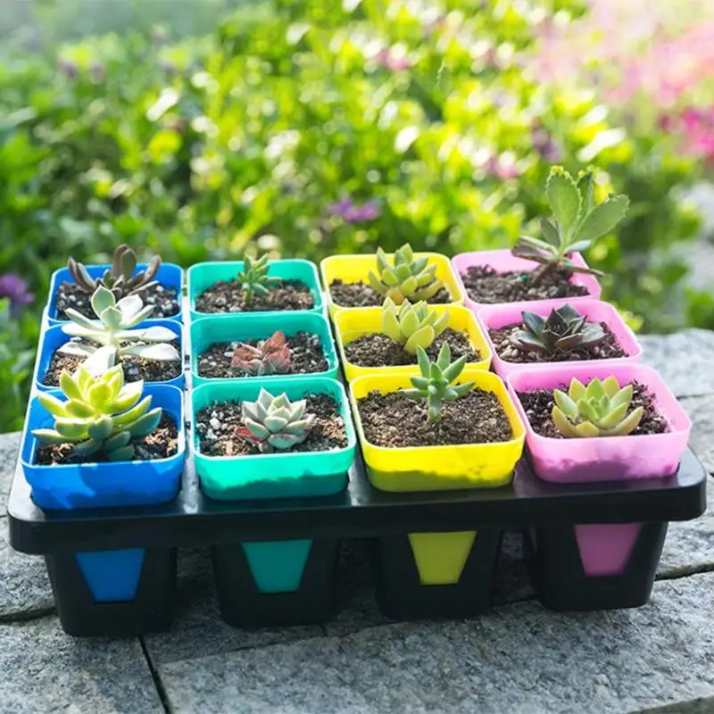 

20pcs Mini Colourful Flower Pots Square Plastic Plant Flower Pot Home Garden Green Plants Tray Home Office Decor Planter 7*7*7cm