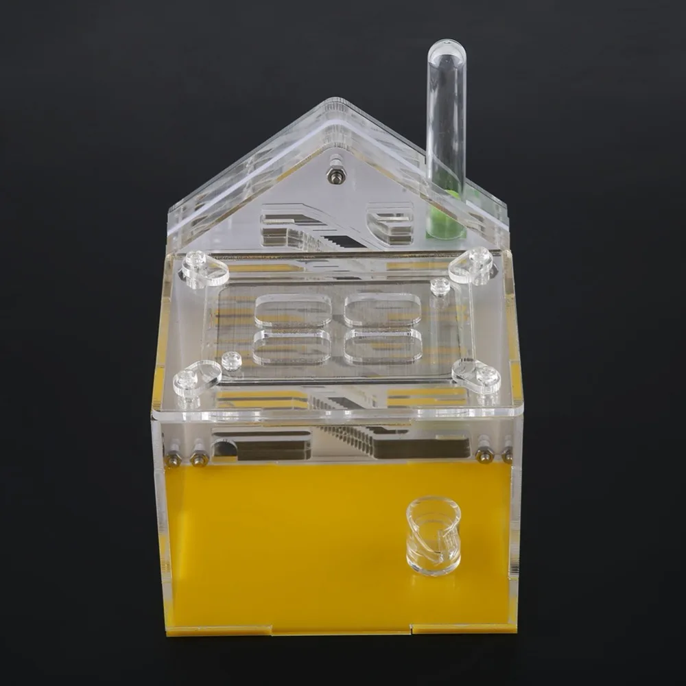 

T Design DIY with Feeding Area Ant Ant Farm Acryl Insect Ant Nests Villa Pet Mania for House Ants Feeding Suction Pipe 2019
