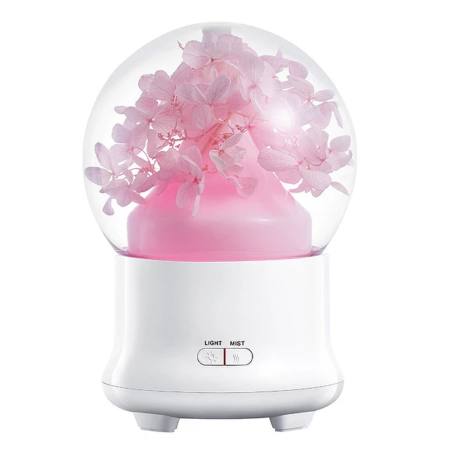

Us Plug Gift Preserved Fresh Flower Essential Oil Aroma Diffuser Ultrasonic Humidifier With Changing Night Light Beautiful Sou