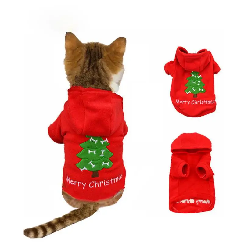 котик в костюме. костюмы для котов. одежда для кошек. котики в новогодних костюмах. кот в костюме.