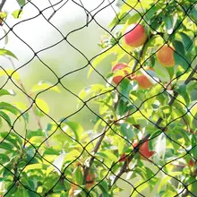 Netting Tangle Lasting-Protection Against Birds Garden Allotment And Deer Wide-X-5m Doesn't