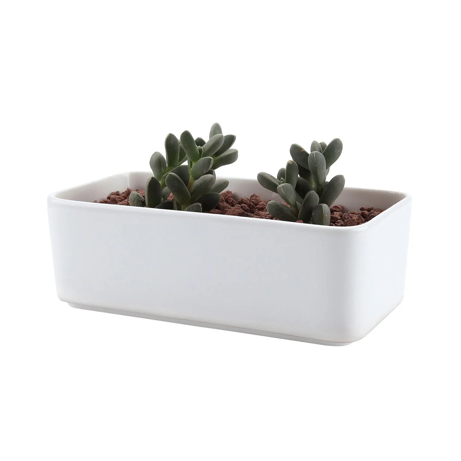 

Ceramic White Rectangle Succulent Cactus Plant Pot Flower Pot/container/planter