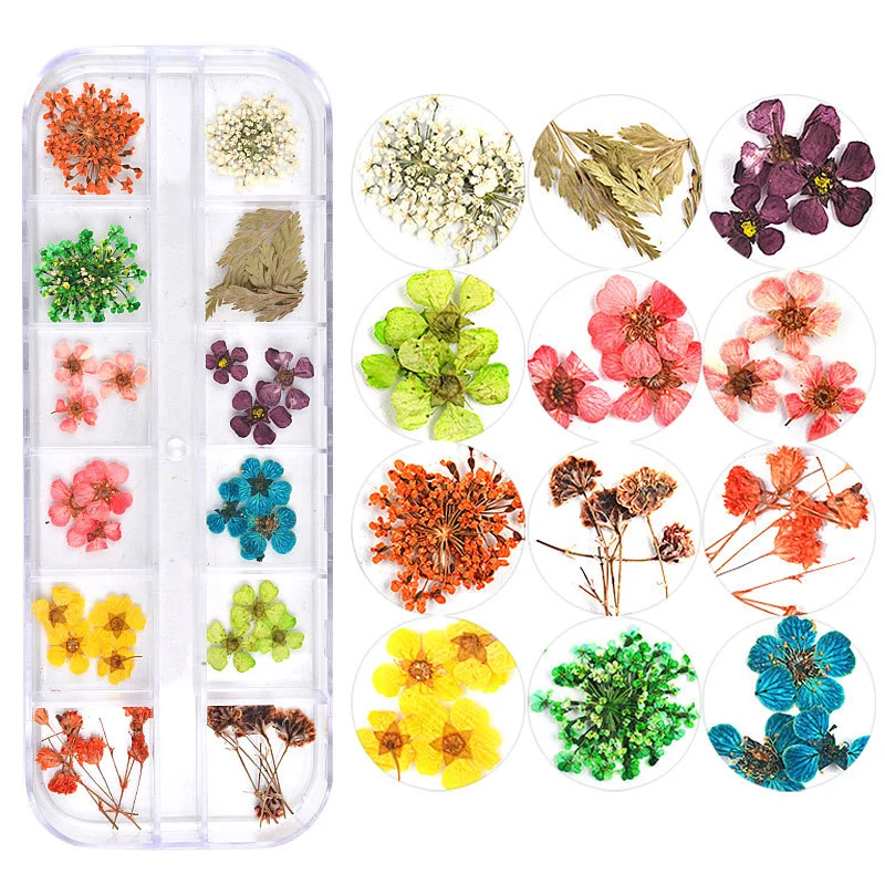 

ICYCHEER 12 Color Nail Art Nature Dry Flowers Set Gel Polish Tip 3D DIY Floral Slices Decal Manicure Pedicure Decor Newest Kit